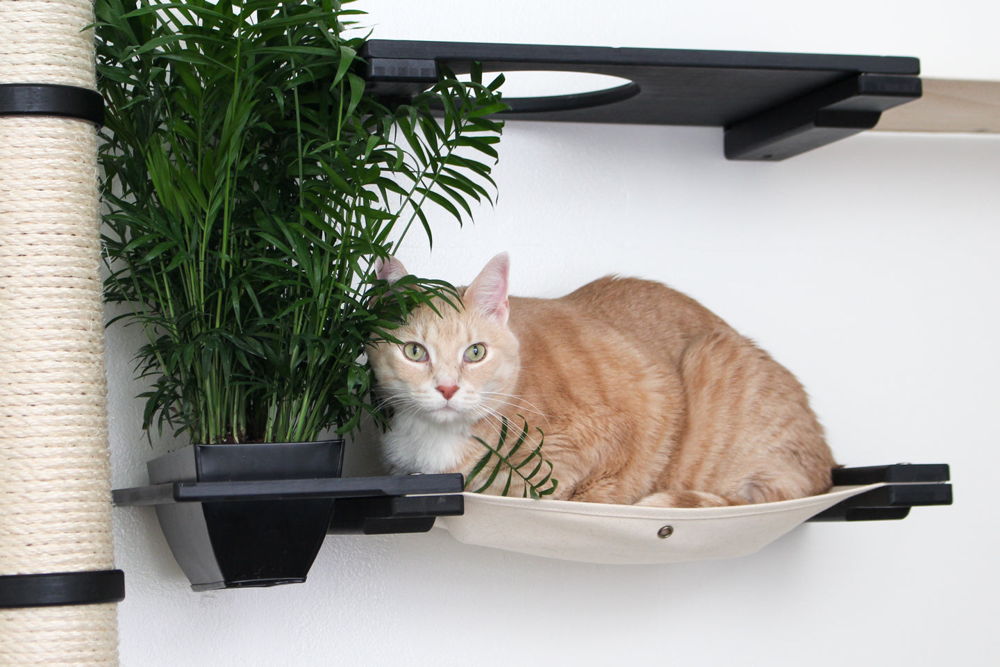 The Gardens - Modern Cat Tree with Plants by Catastrophic Creations