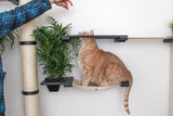 The Gardens - Modern Cat Tree with Plants by Catastrophic Creations