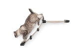 The Lift- Cat Hammock Bed by Catastrophic Creations