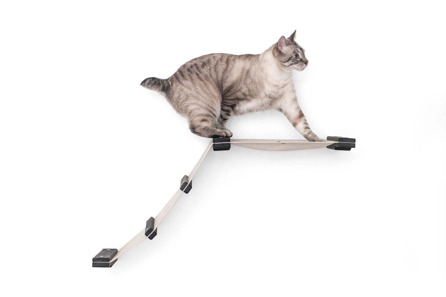 The Lift- Cat Hammock Bed by Catastrophic Creations