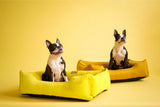 Sunny Sleeper Dog Bed Corduroy - Yellow Color