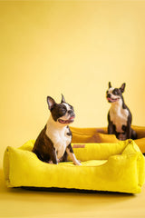 Sunny Sleeper Dog Bed Corduroy - Yellow Color