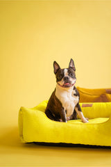 Sunny Sleeper Dog Bed Corduroy - Yellow Color
