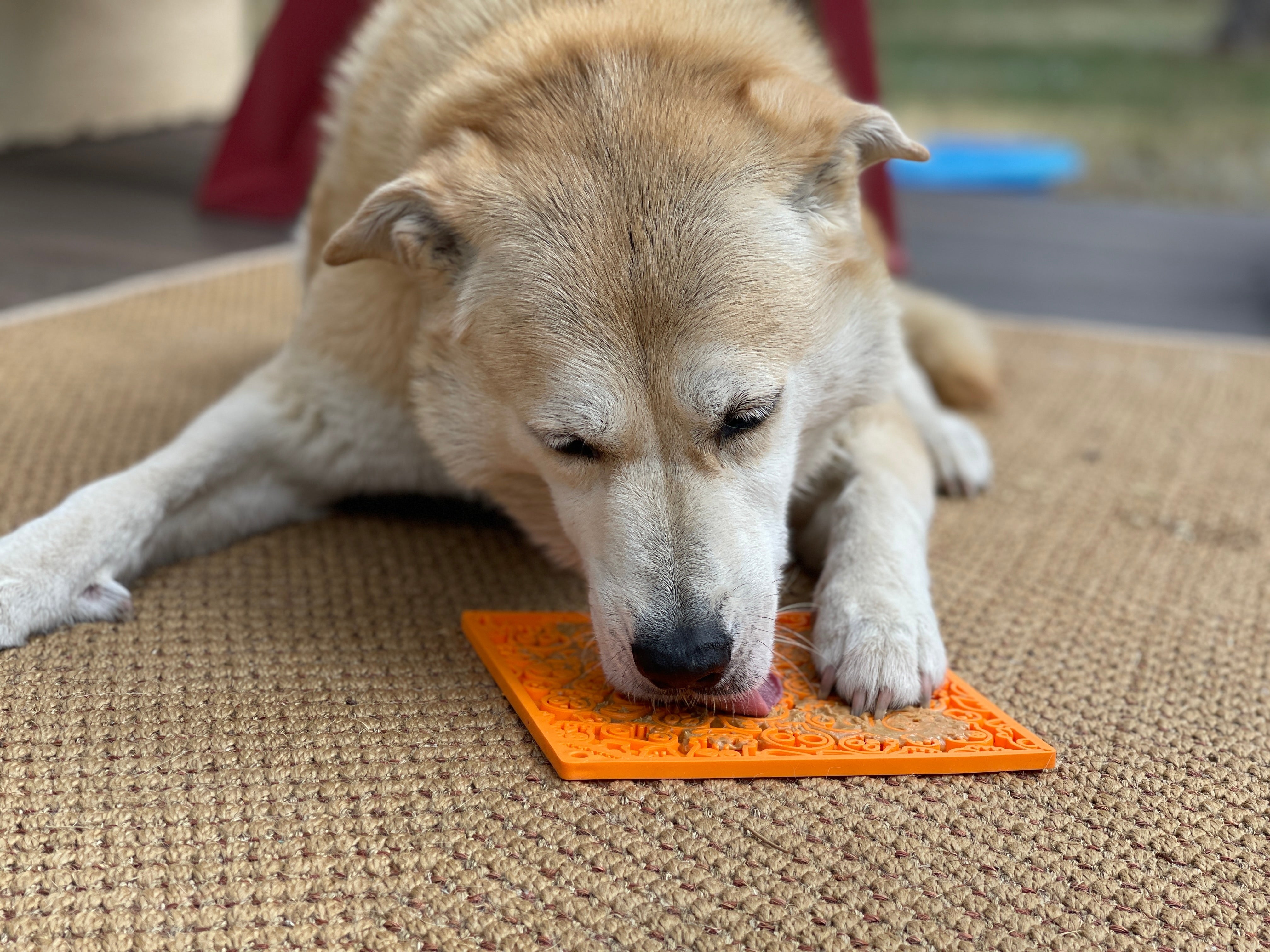 Zombie Dog Lick Mat — Halloween Enrichment by SodaPup