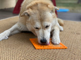 Zombie Dog Lick Mat — Halloween Enrichment by SodaPup