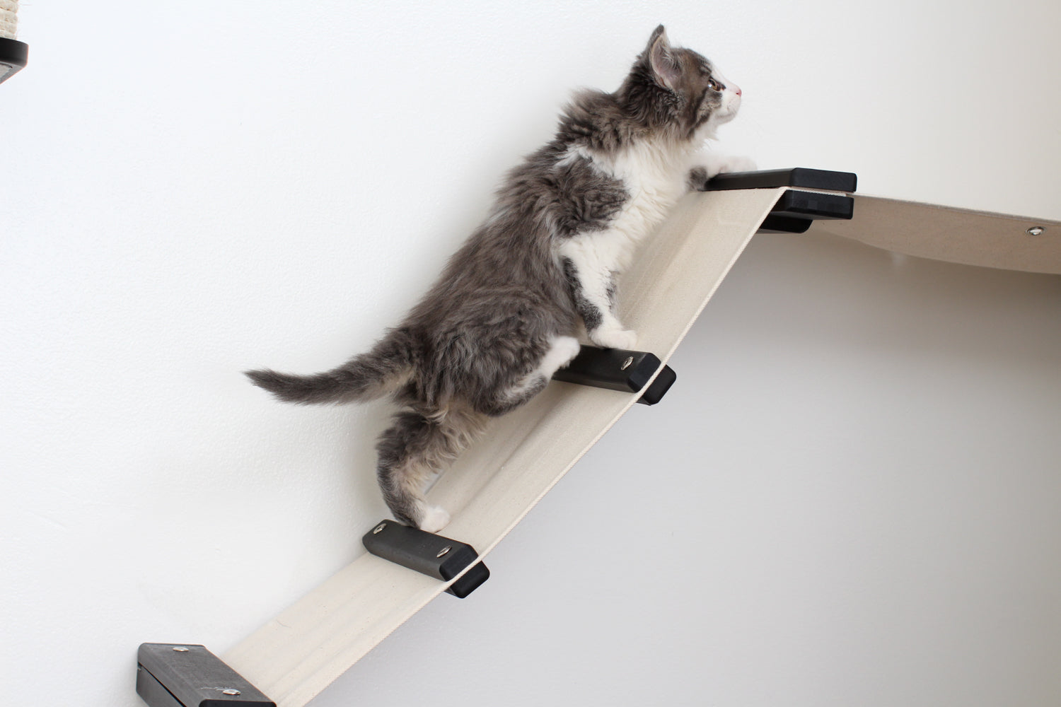 The Lift- Cat Hammock Bed by Catastrophic Creations