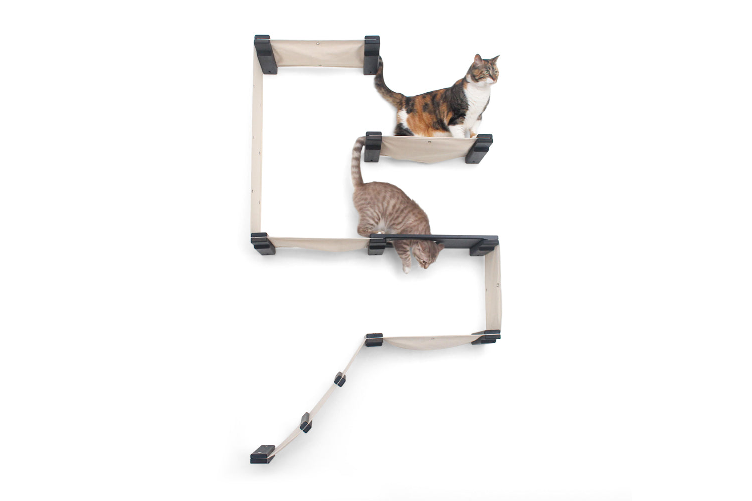 The Deluxe Cat Fort - Modern Cat Condo by Catastrophic Creations