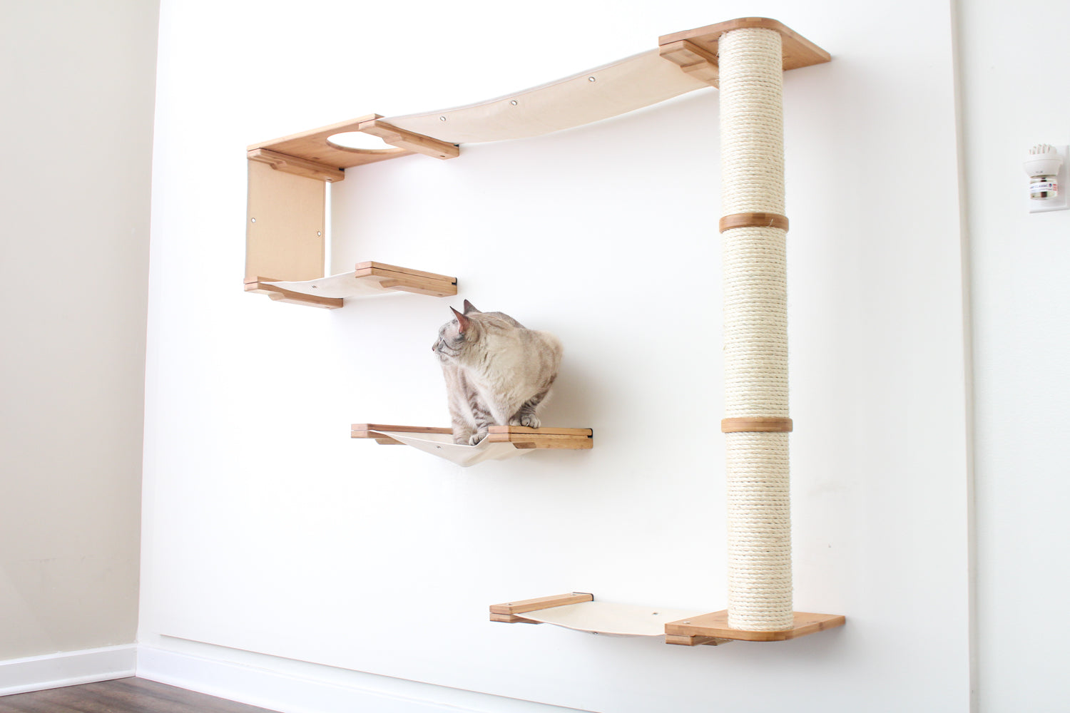 The Climb Condo - Cat Wall Climbing System by Catastrophic Creations