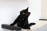 Cat Maze Wall - 3 Tier Cat Tree by Catastrophic Creations