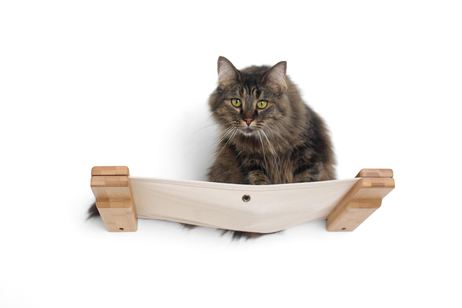 The Roman - A Wall Mounted Cat Scratcher Tree by Catastrophic Creations