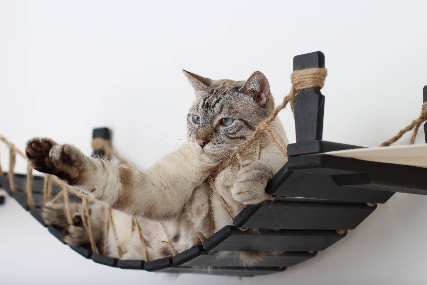 Double Cat Hammock and Climbing Bridge Combo by Catastrophic Creations