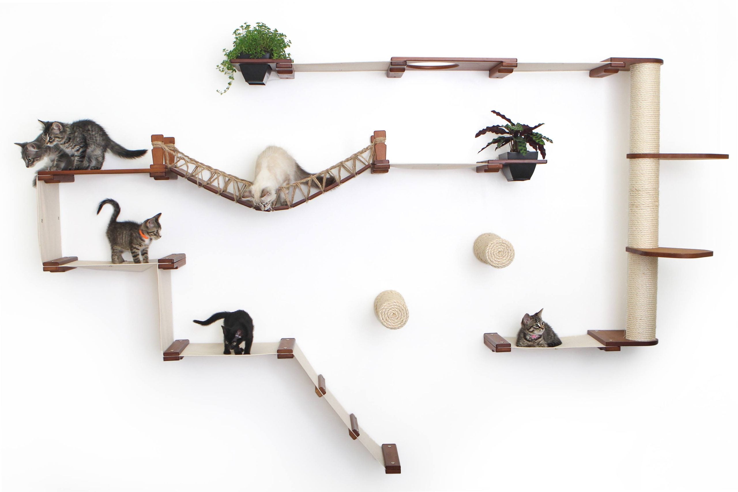 The Juggernaut - Indoor Cat Playground for Wall by Catastrophic Creations
