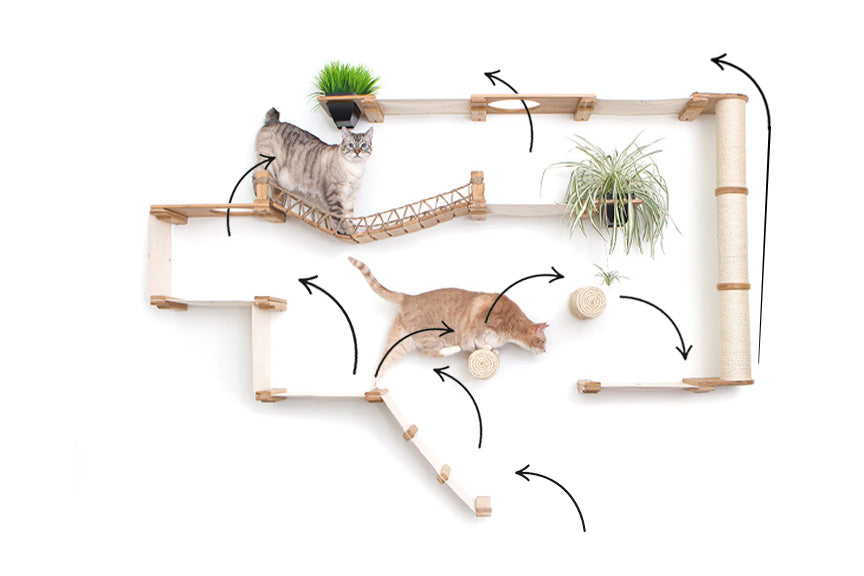 The Juggernaut - Indoor Cat Playground for Wall by Catastrophic Creations