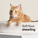 Kip Cat Cushion