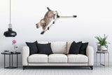 The Lift- Cat Hammock Bed by Catastrophic Creations