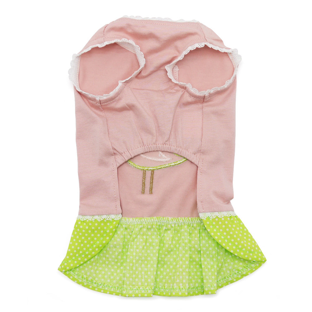 Little Birdy Dress