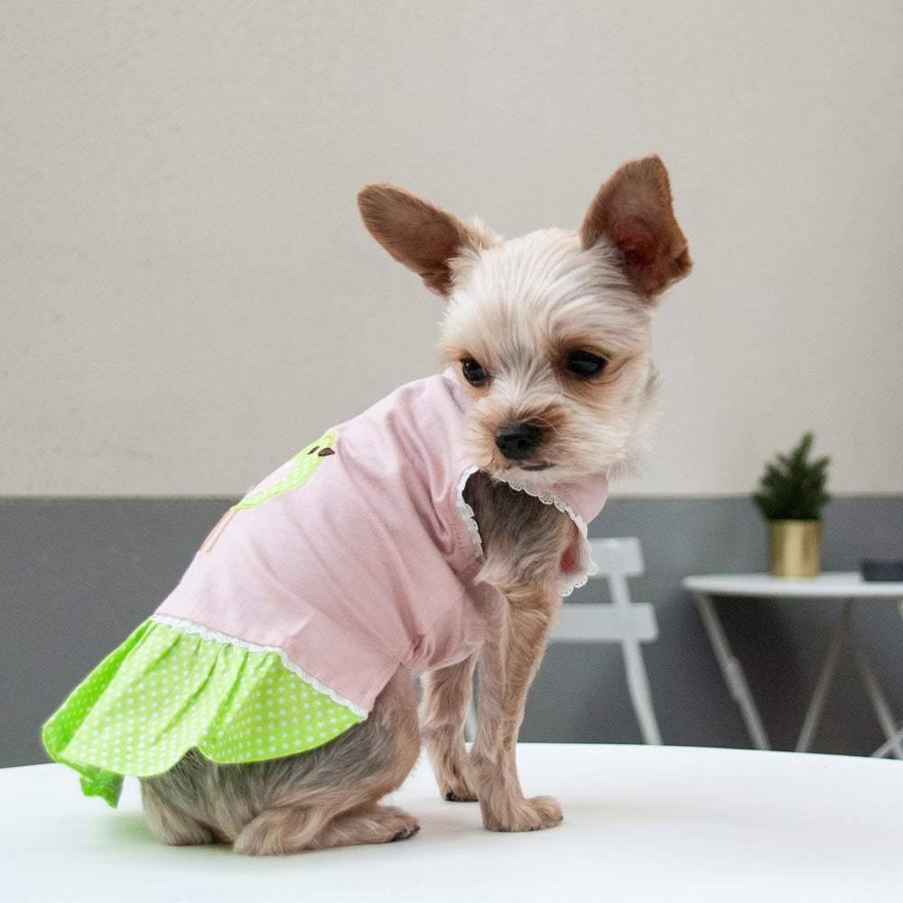 Little Birdy Dress