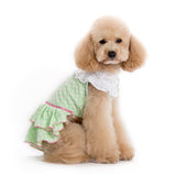 Little Flower Dress