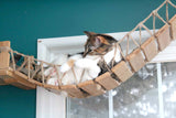 Cat Bridge for Wall by Catastrophic Creations