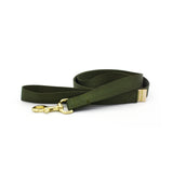 basic leash