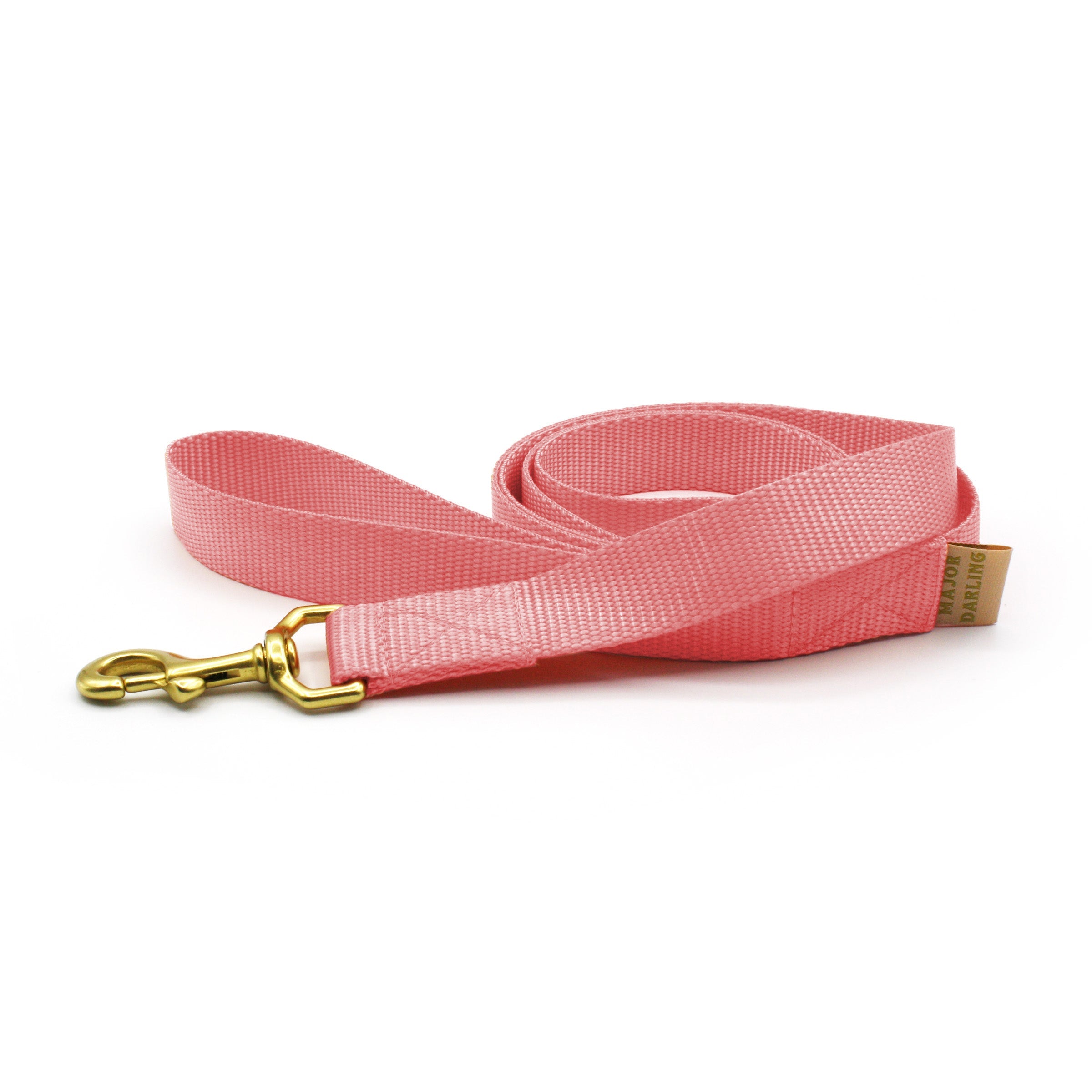 basic leash