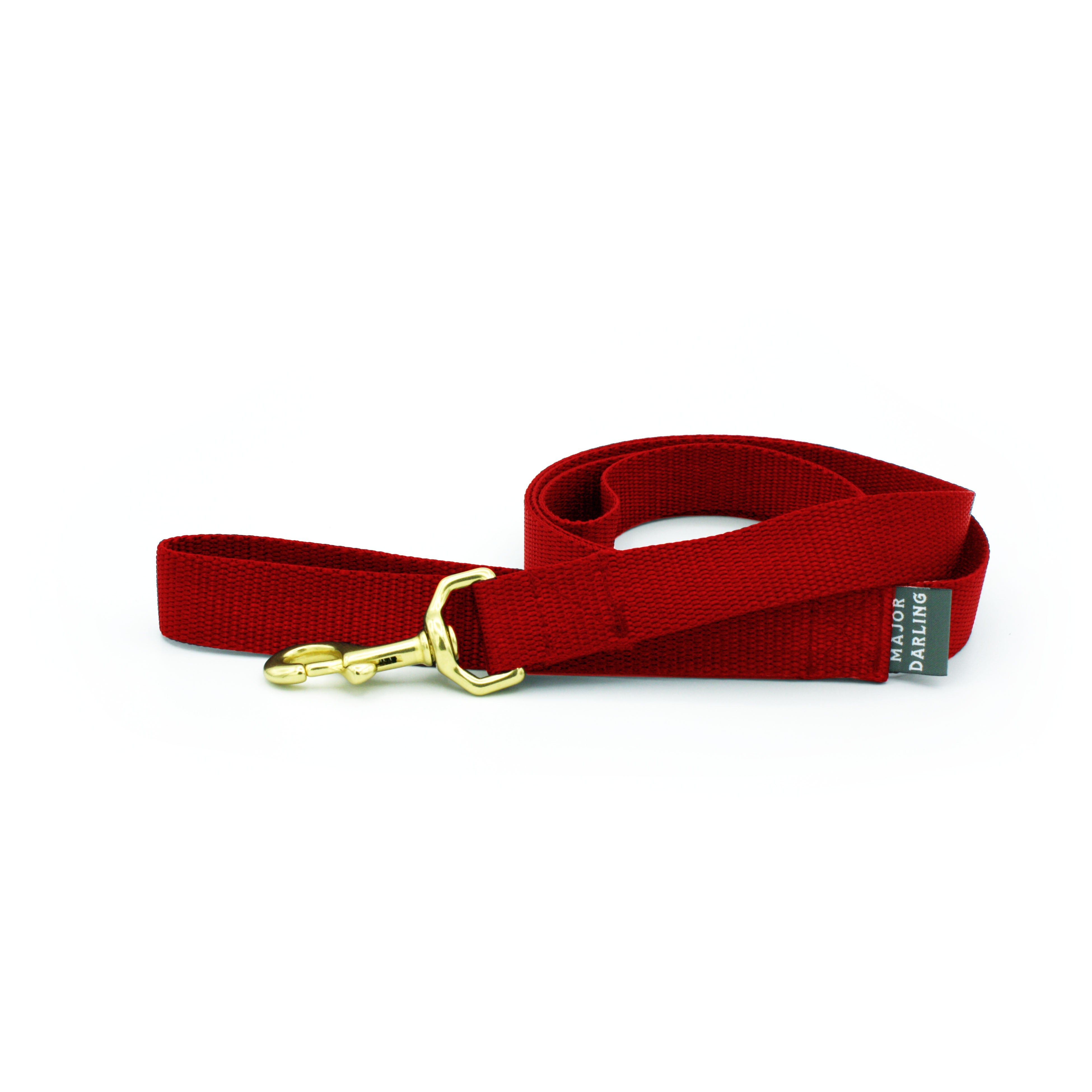 basic leash