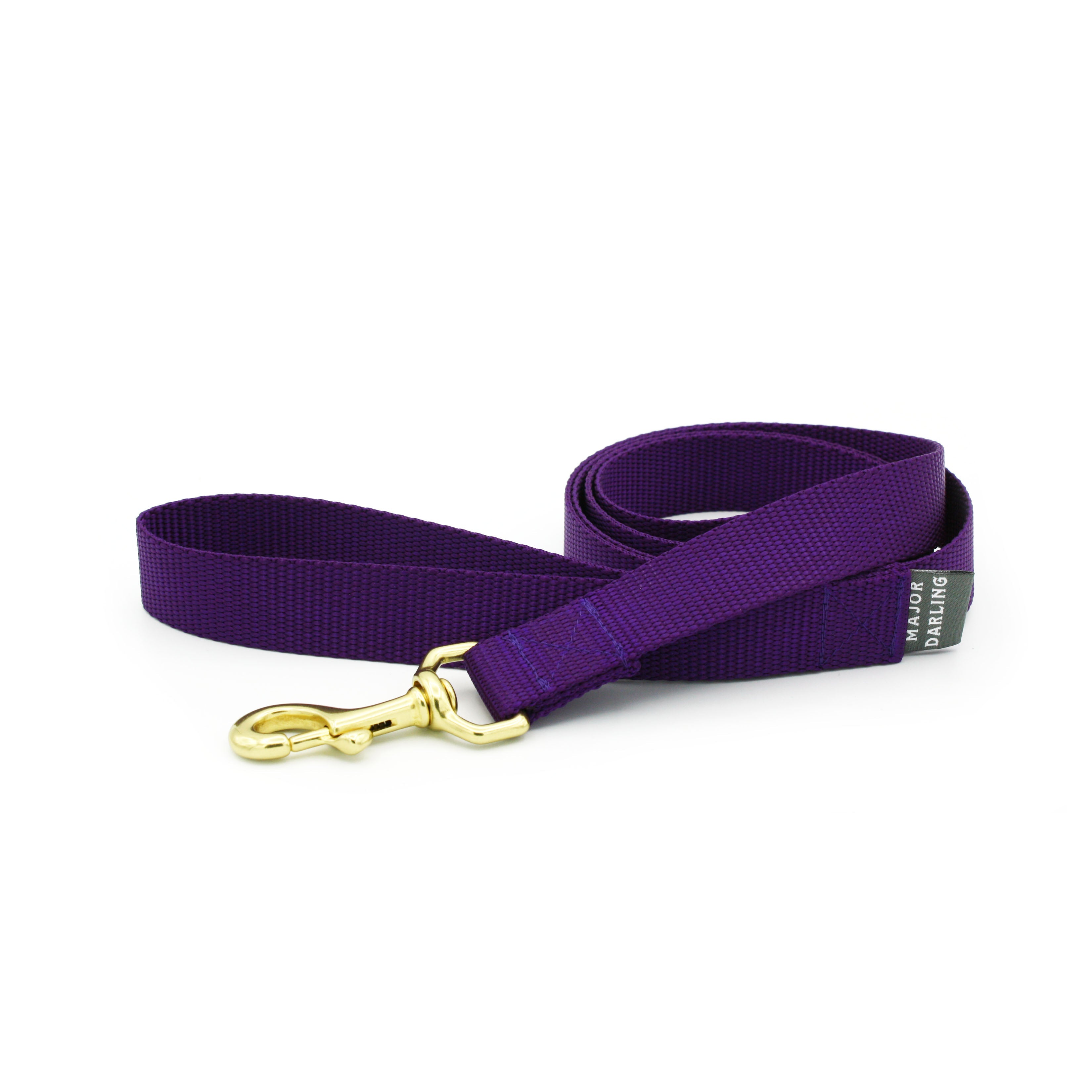 basic leash