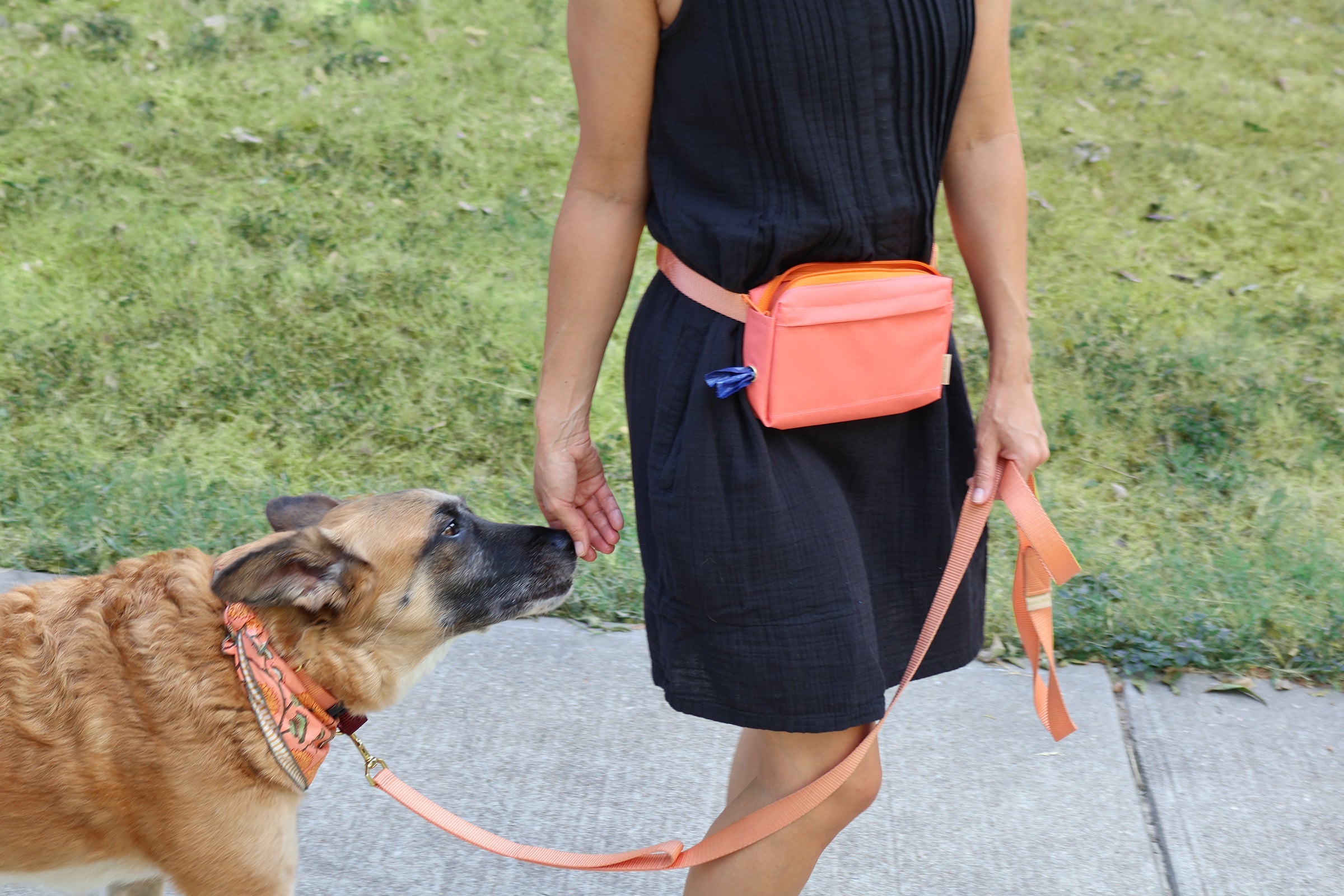 dog walking fanny pack