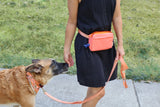 dog walking fanny pack