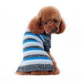 Marl Stripes Sweater