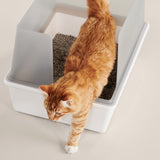 Cubby Litter Box