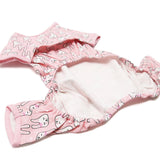Dogo PJ Bunny