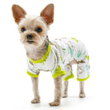 Dogo PJ Dinosaur