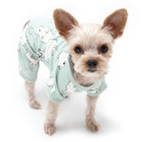 Dogo PJ Forest
