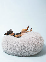 POD DOG BED