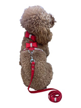 Bow Tie Dog Harness in Pleather, Red