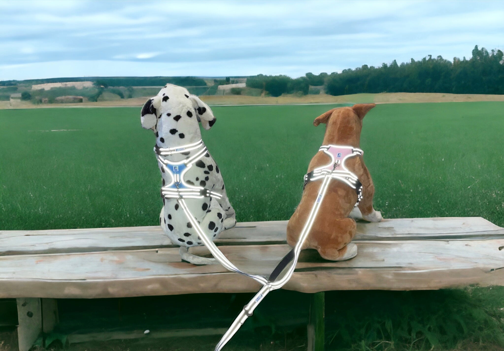 Headlight Harness 2 Dog Reflective Double Dog Leash