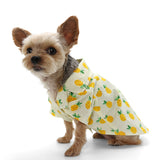 Pineapple Shirt