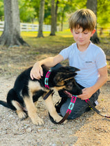 Pink and Turquoise dog collar