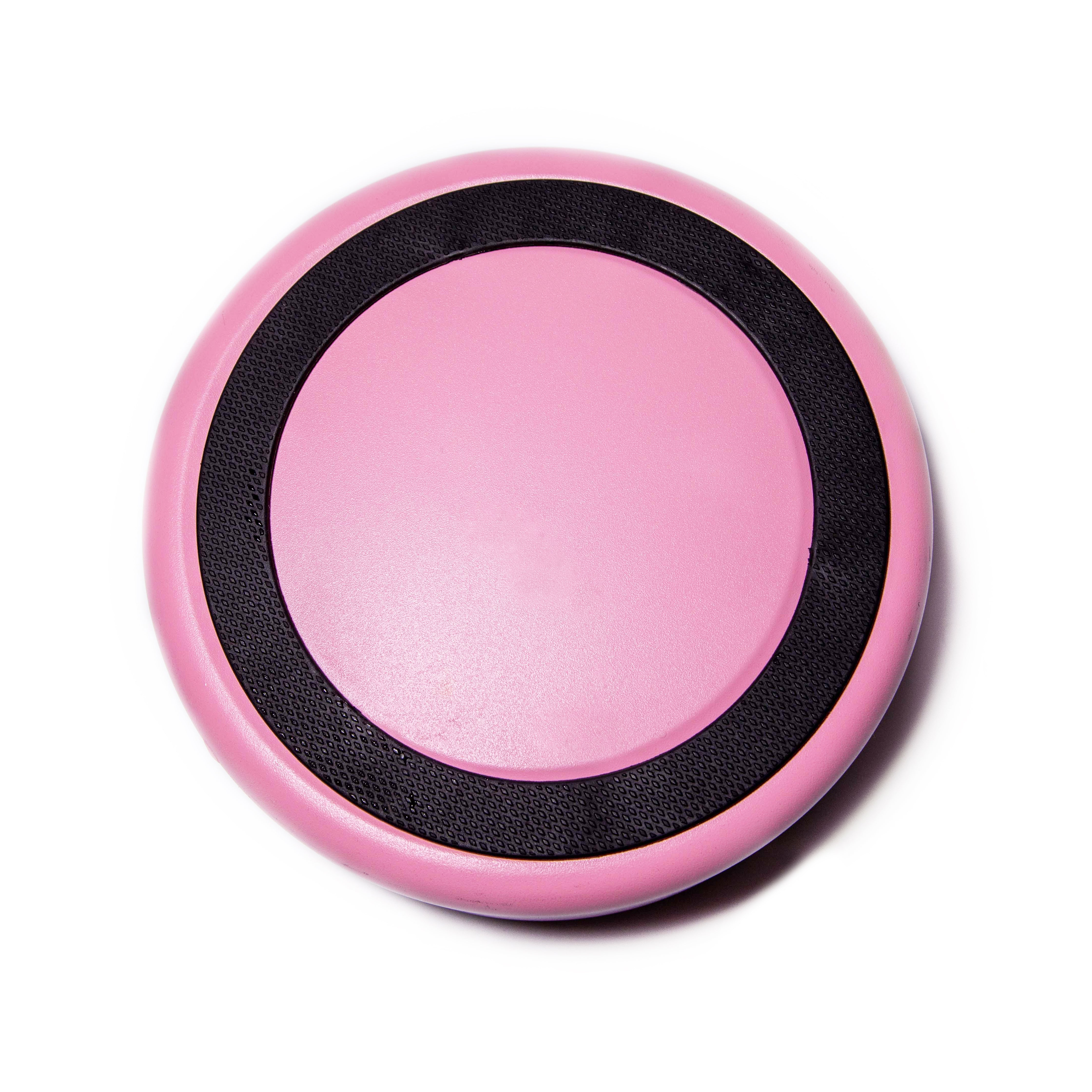 Light Pink Stainless Steel Dog Bowl