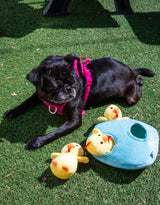 Burrow Chicken in Egg Dog Toys