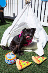 Squeaky Pizza Dog Toys