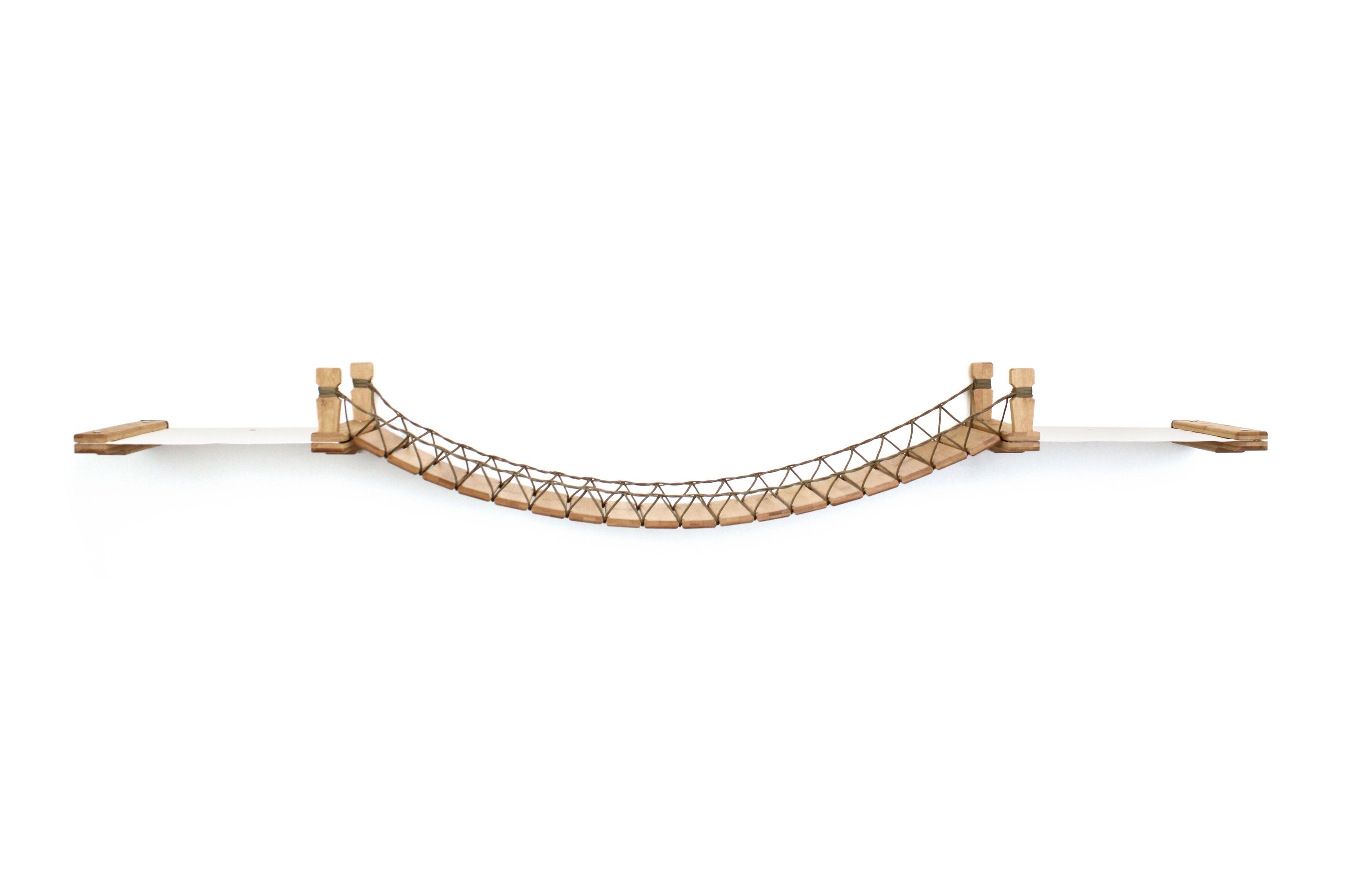 Double Cat Hammock and Climbing Bridge Combo by Catastrophic Creations
