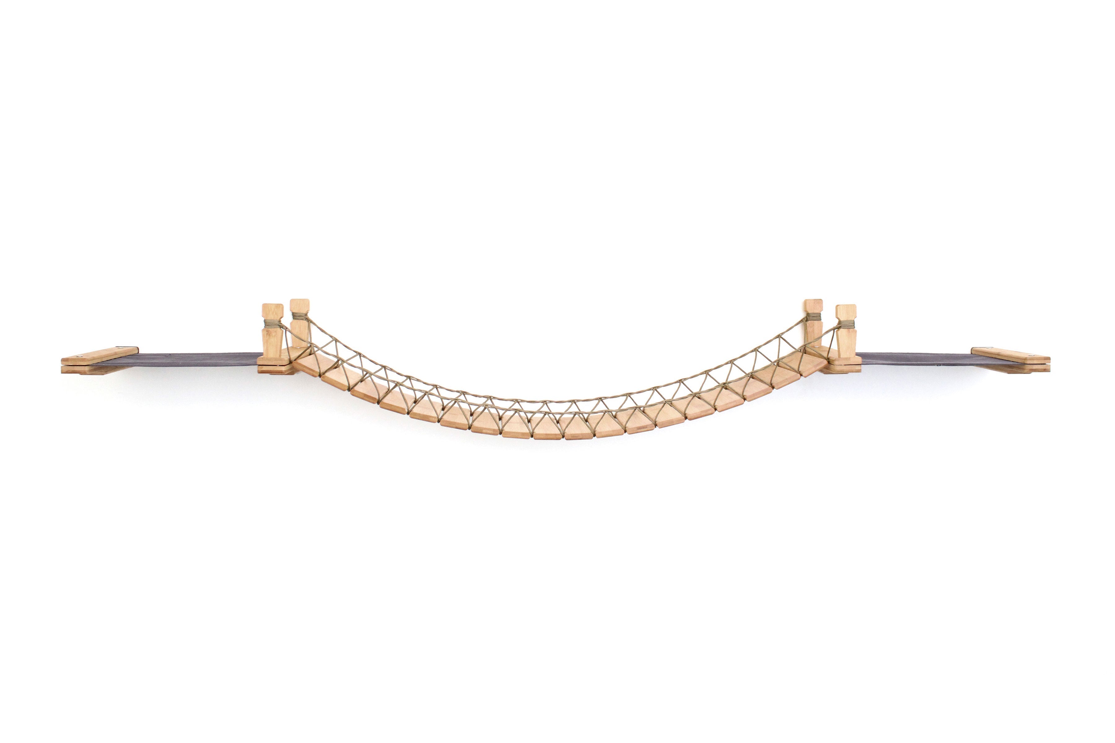 Double Cat Hammock and Climbing Bridge Combo by Catastrophic Creations