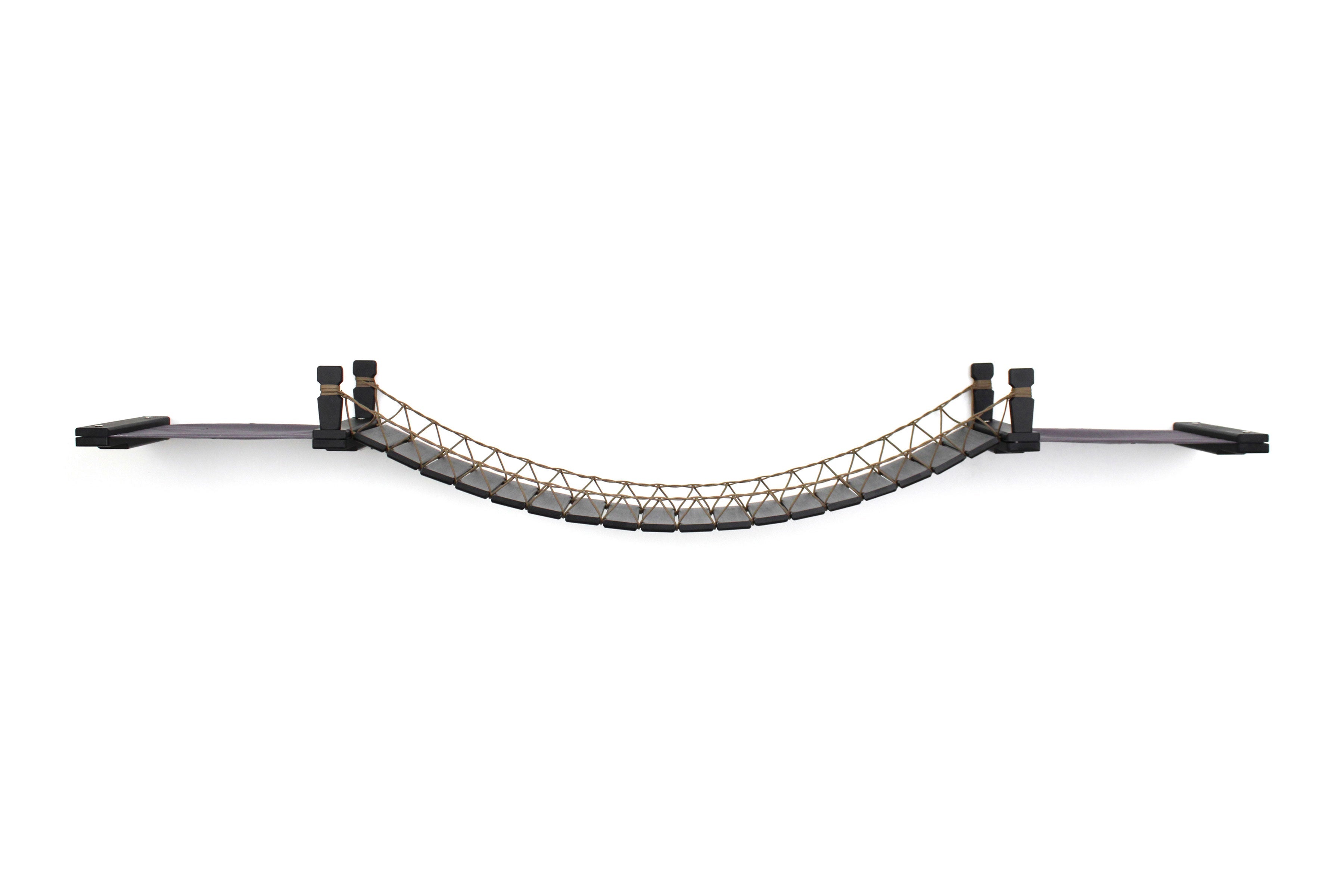 Double Cat Hammock and Climbing Bridge Combo by Catastrophic Creations