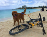 Bike Tow Leash