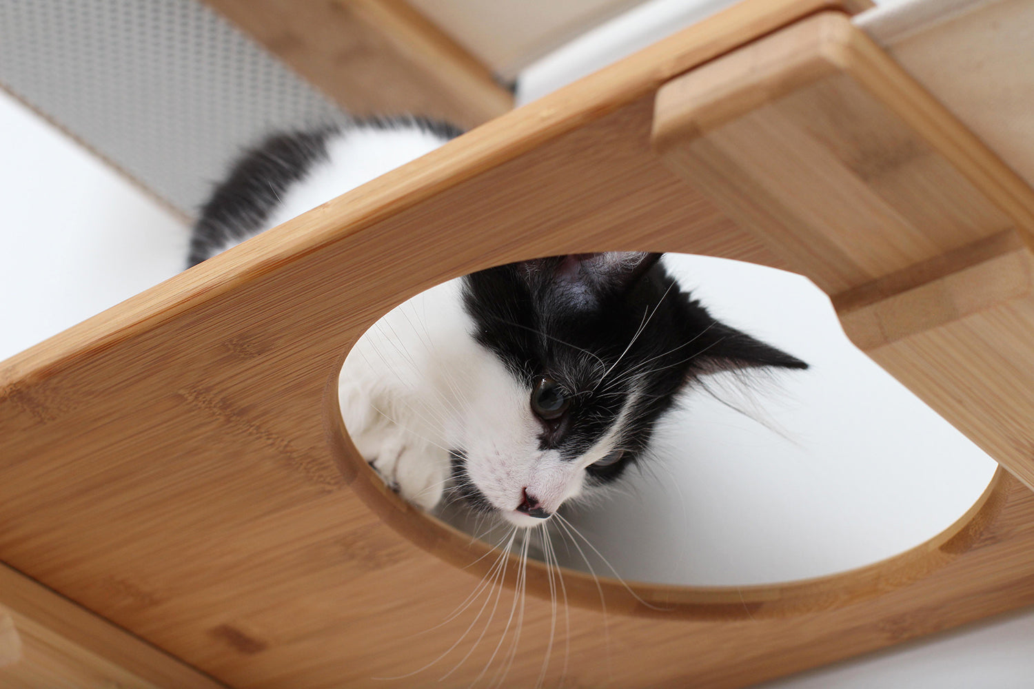 The Roman - A Wall Mounted Cat Scratcher Tree by Catastrophic Creations