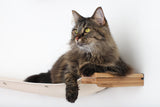 The Roman - A Wall Mounted Cat Scratcher Tree by Catastrophic Creations