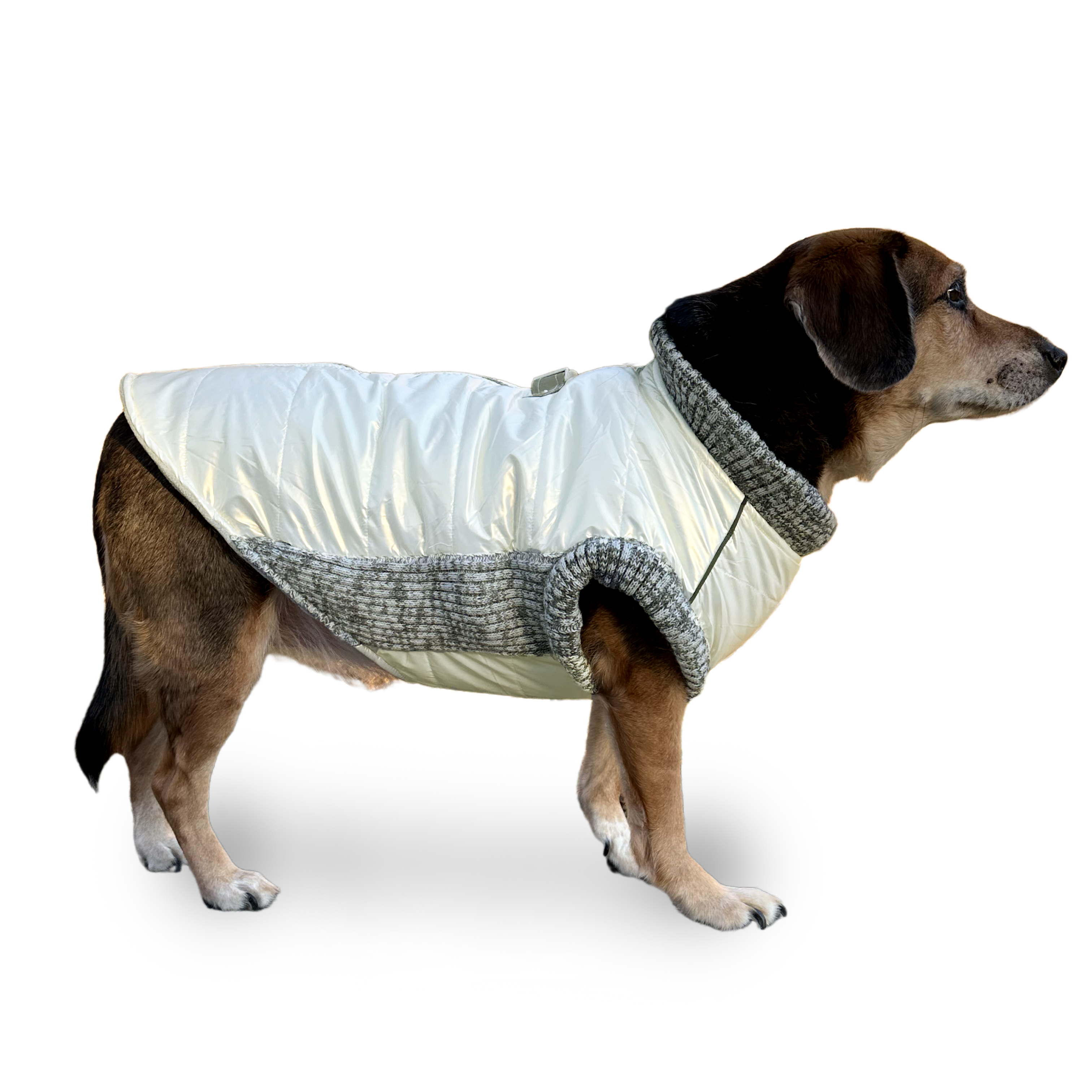 Runner Coat Metallic Pearl White