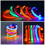 LED Flashing Dog CollarLED Flashing Dog Collar